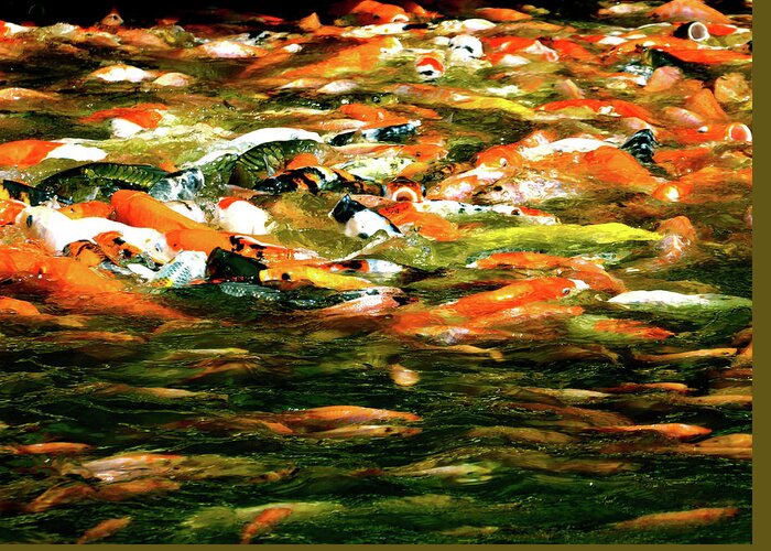 Carp Greeting Card featuring the photograph Koi Flux by HweeYen Ong