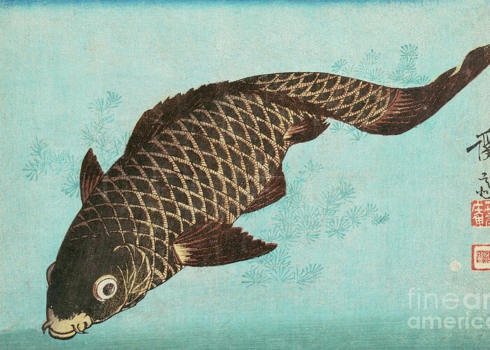 Carp Greeting Card featuring the painting Koi by Keisai Eisen