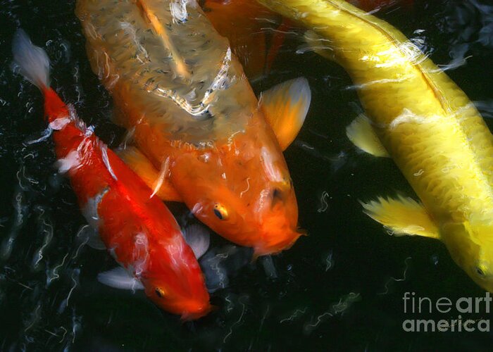 Koi Greeting Card featuring the photograph koi by Lisa Redfern
