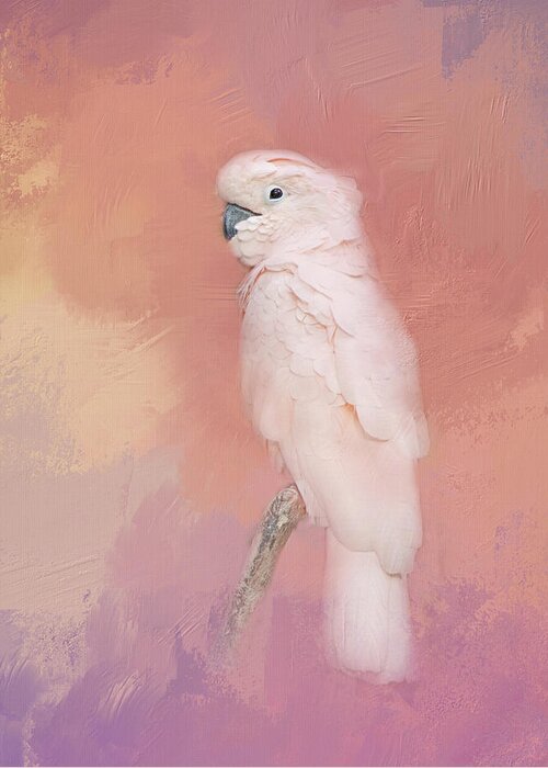 Bird Greeting Card featuring the photograph Kramer The Moluccan Cockatoo by Theresa Tahara