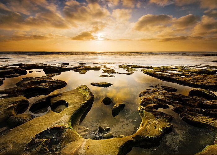 Seascape Greeting Card featuring the photograph La Jolla Horseshoe by Joel Olives