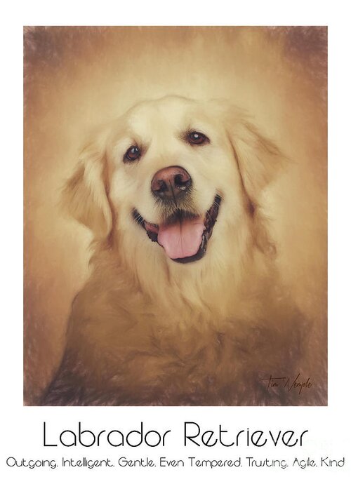 Labrador Greeting Card featuring the digital art Labrador Retriever Poster by Tim Wemple