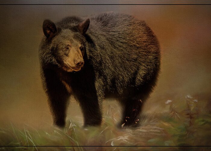 Tl Wilson Photography Greeting Card featuring the photograph Black Bear in the Fall by Teresa Wilson