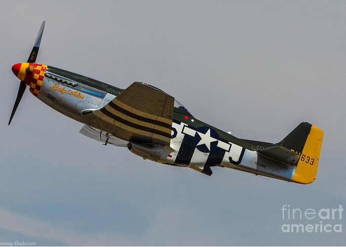 North American P-51d Mustang Greeting Card featuring the photograph Lady Alice 3 by Tommy Anderson