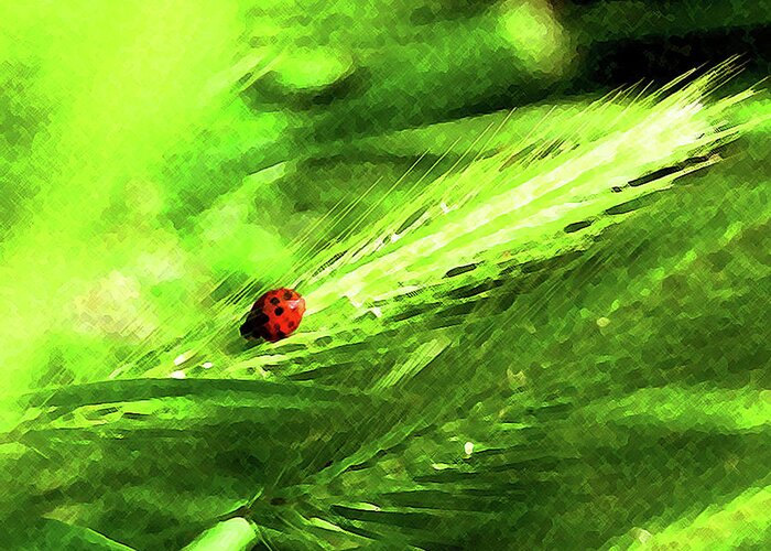 Ladybug Greeting Card featuring the digital art Ladybug by Timothy Bulone