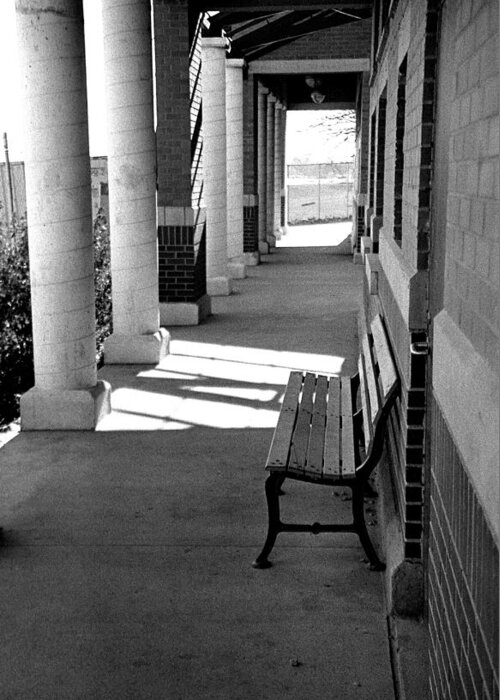 Black & White Greeting Card featuring the photograph Lake Bench by Carol Neal-Chicago