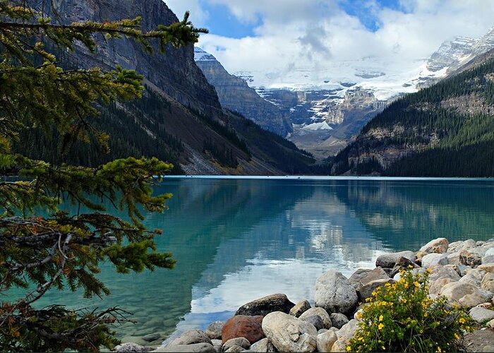 Lake Louise Greeting Card featuring the photograph Lake Louise 2 by Larry Ricker