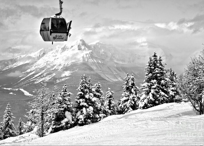 Lake Louise Greeting Card featuring the photograph Lake Louise Gondola Over The Snow Ghosts Black And White by Adam Jewell