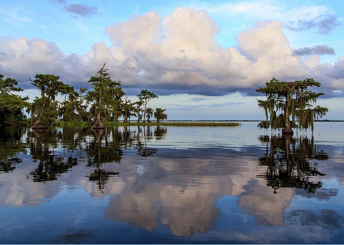 Florida Greeting Card featuring the photograph Lake Mirror by Stefan Mazzola
