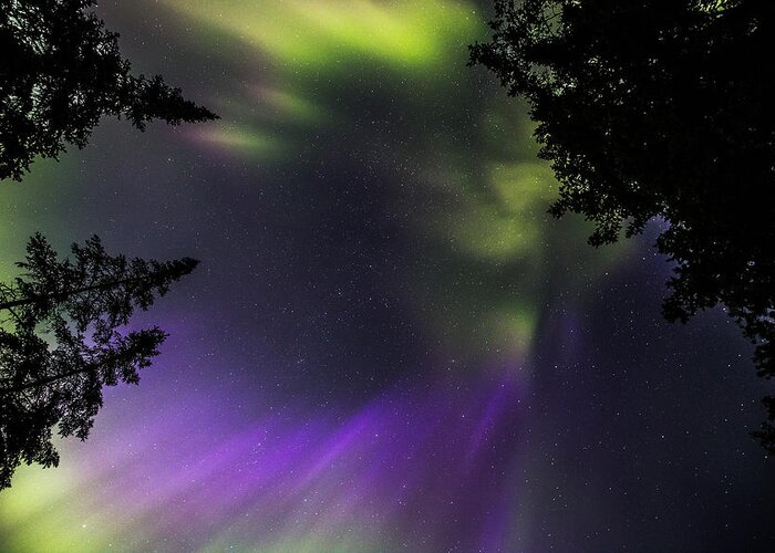 Astrophotography Greeting Card featuring the photograph Lake of the Woods Summer Aurora - Looking Up 01 by Jakub Sisak