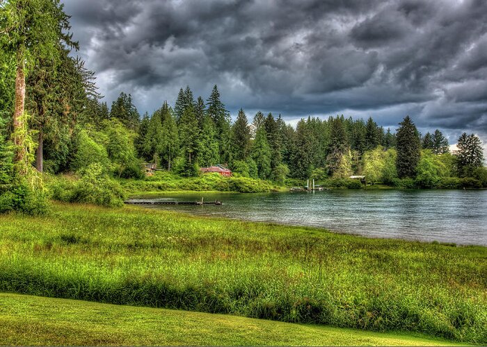 Grass Greeting Card featuring the photograph Lake Quinault 2 by Richard J Cassato