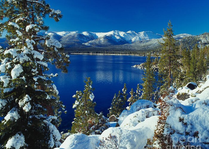 Lake Tahoe Greeting Card featuring the photograph Lake Tahoe Winter by Vance Fox