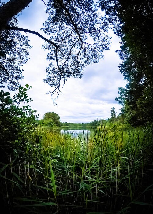 Nature Greeting Card featuring the photograph Lake View by Nicklas Gustafsson