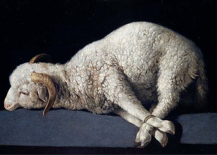 Francisco De Zurbaran Greeting Card featuring the painting Lamb of God. Agnus dei by Francisco de Zurbaran