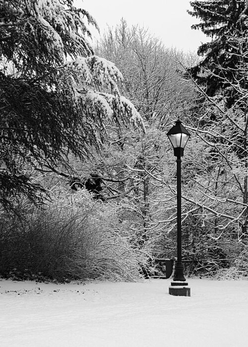 Lamp Post Greeting Card featuring the photograph Lamp Post in Winter - B/W by William Selander