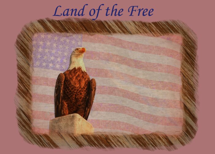 America Greeting Card featuring the photograph Land of the Free by John M Bailey