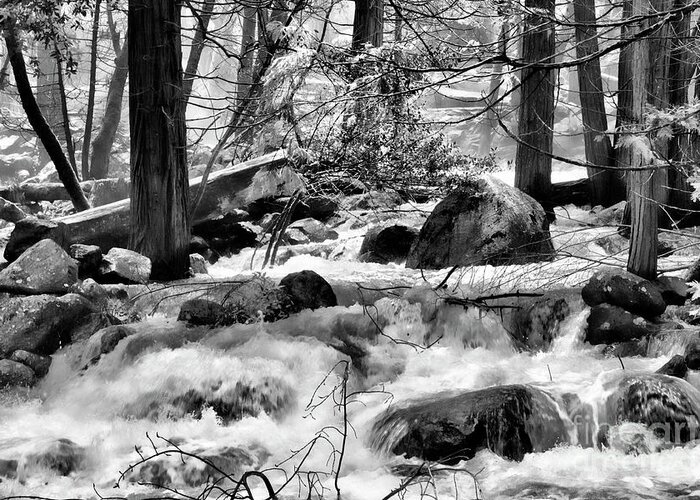 Yosemite Greeting Card featuring the photograph Landscape Water BW Yosemite by Chuck Kuhn