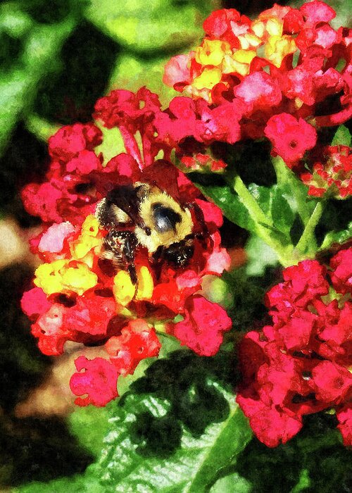 Bee Greeting Card featuring the photograph Lantanas and the Bee by Susan Savad