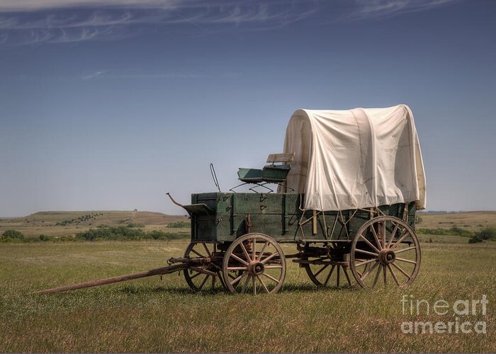 Drovers Greeting Card featuring the photograph Last Stop by Fred Lassmann