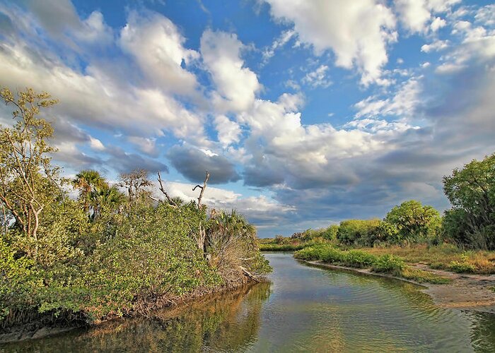 Florida Marsh Greeting Card featuring the photograph Late Afternoon On The Marsh by HH Photography of Florida