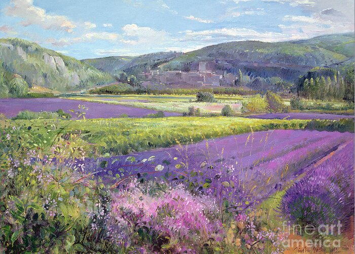Field; South Of France; French Landscape; Hills; Hill; Landscape; Flower; Flowers Greeting Card featuring the painting Lavender Fields in Old Provence by Timothy Easton