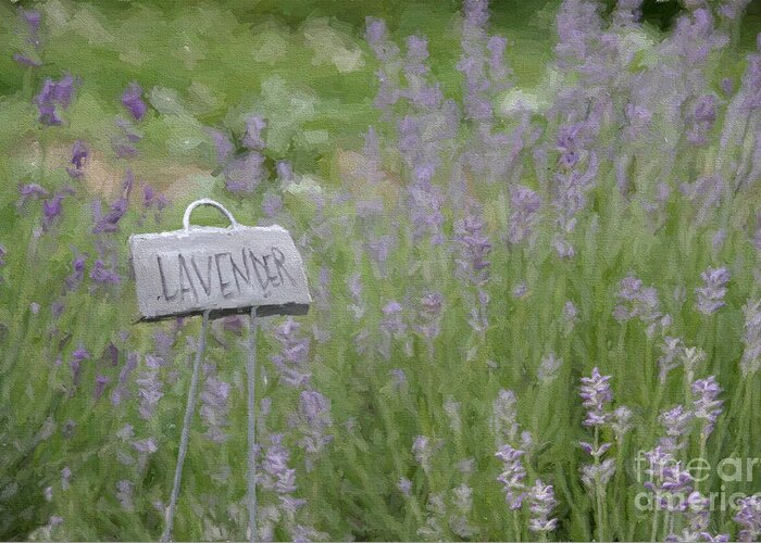 Lavender Greeting Card featuring the digital art Lavender by Jayne Carney