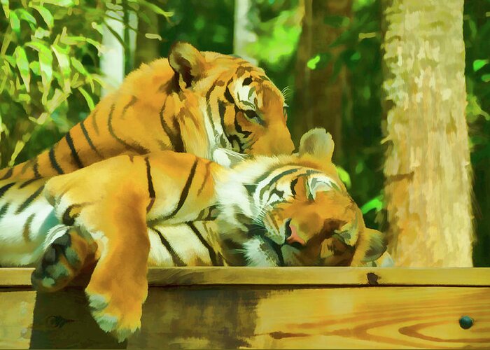 Tiger Greeting Card featuring the photograph Lazy Afternoon by Artful Imagery
