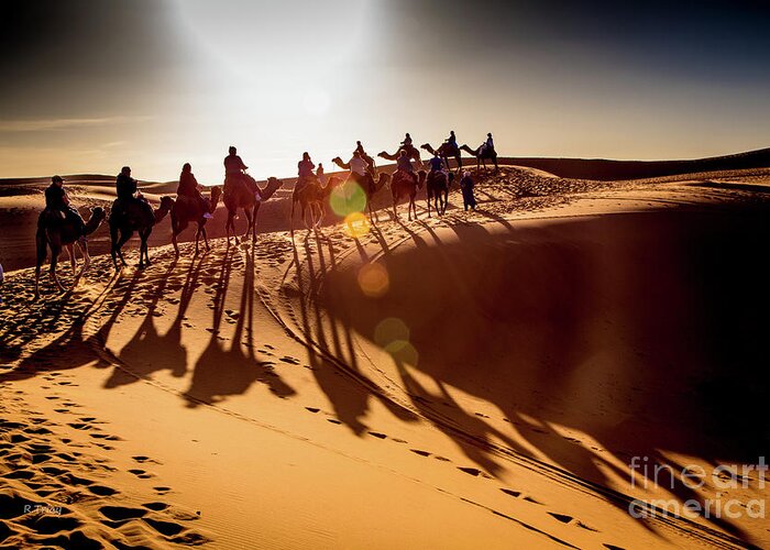 Sahara Desert Greeting Card featuring the photograph Le Chameau Desert Caravan by Rene Triay FineArt Photos