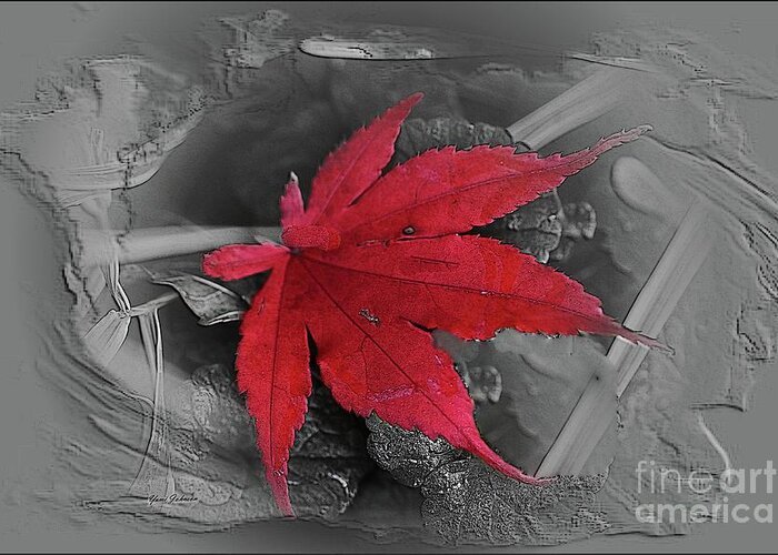 Leaf Greeting Card featuring the photograph Leaf abstract by Yumi Johnson
