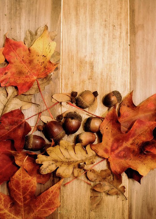 Leaves Greeting Card featuring the photograph Leaves and Nuts 2 by Rebecca Cozart