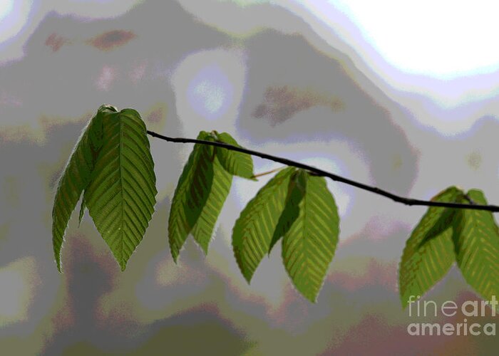 Leaves Greeting Card featuring the digital art Leaves of Green by Jack Ader
