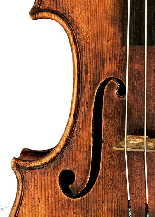 Strad Greeting Card featuring the photograph Left F by Endre Balogh