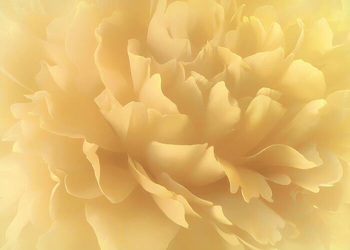 Flower Greeting Card featuring the photograph Lemon Splash by Darlene Kwiatkowski
