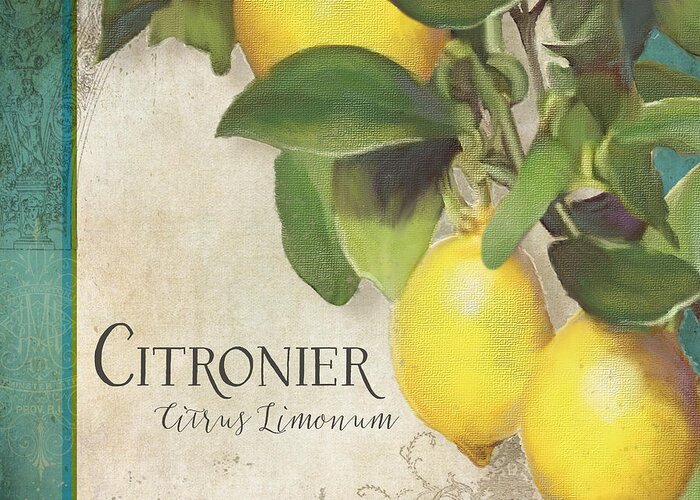 Lemons Greeting Card featuring the painting Lemon Tree - Citronier Citrus Limonum by Audrey Jeanne Roberts