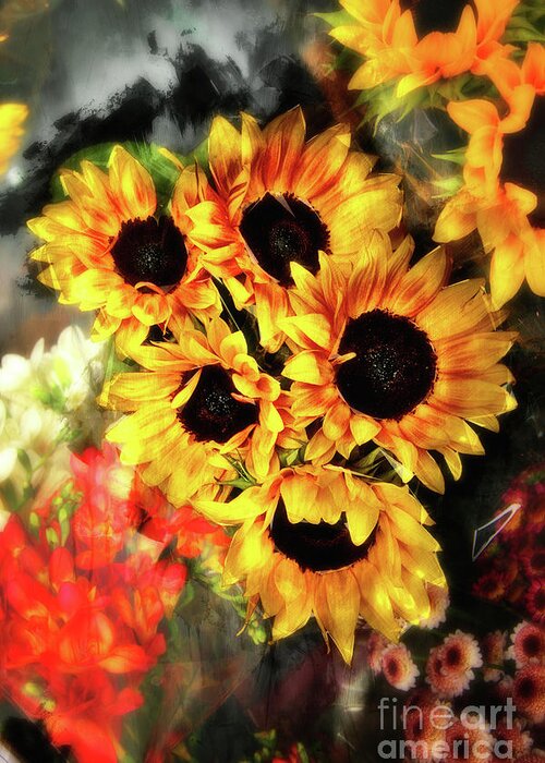 Sunflowers Greeting Card featuring the photograph Les Tournesols by Jack Torcello
