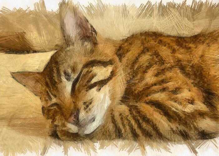 Tabby Cat Greeting Card featuring the drawing Let Sleeping Cats Lie by Taiche Acrylic Art