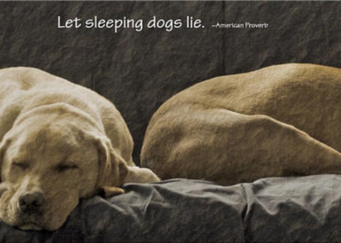 Sleeping Dogs - Digital