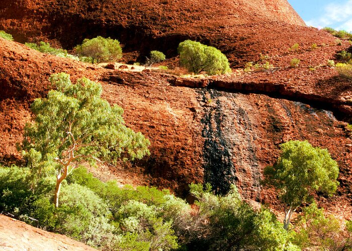 Untamed Northern Territory Series By Lexa Harpell Greeting Card featuring the photograph Life in the Rocks of Kata Tjuta by Lexa Harpell