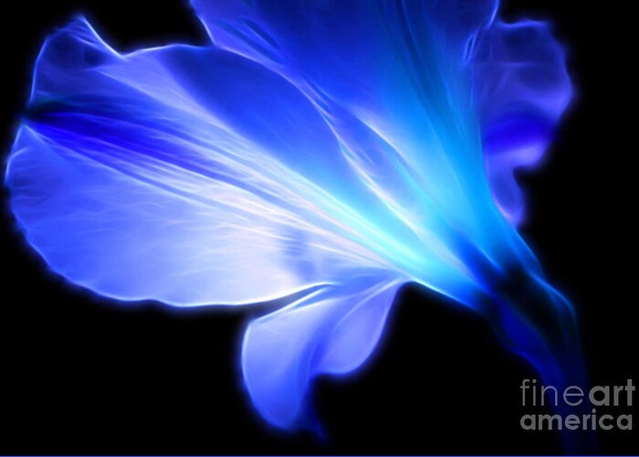 Amaryllis Greeting Card featuring the photograph Light Of The Soul by Krissy Katsimbras