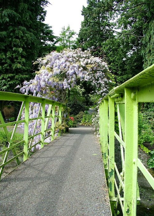 Bridge Greeting Card featuring the photograph Lilac Colour Crossing by Martina Fagan