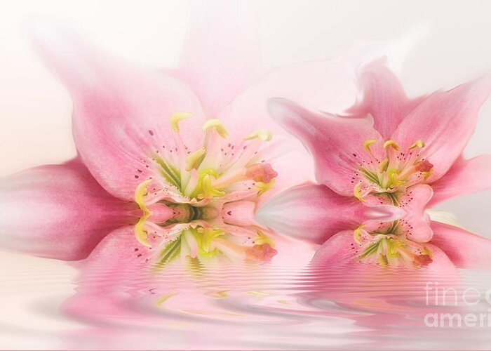 Lilies Greeting Card featuring the photograph Lilies by Patti Schulze