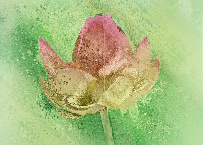 Lily Greeting Card featuring the mixed media Lily my Lovely - s112sqc88 by Variance Collections
