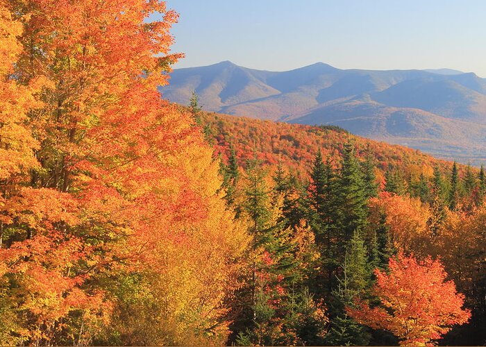 New Hampshire Greeting Card featuring the photograph Lincoln Warren Road White Mountains Peak Fall Foliage by John Burk