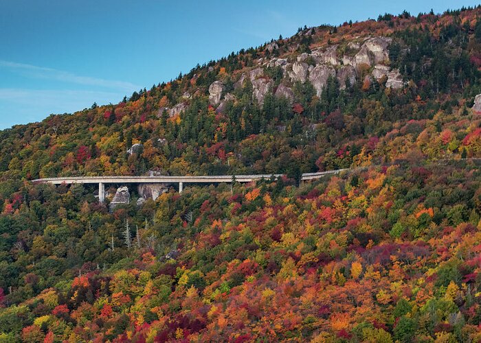 Adventure Greeting Card featuring the photograph Linn Cove Viaduct In Fall from Rough Ridge by Kelly VanDellen
