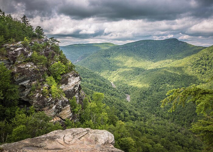 Wilderness Greeting Card featuring the photograph Linville Gorge Wilderness by Dana Foreman