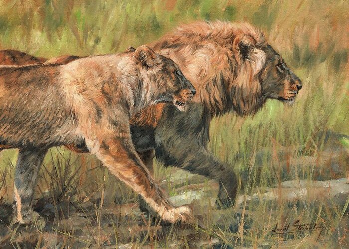 Lion Greeting Card featuring the painting Lion and Lioness by David Stribbling