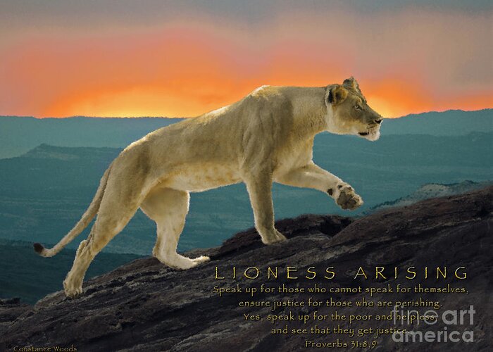 Lioness Arising Greeting Card featuring the photograph Lioness Arising by Constance Woods