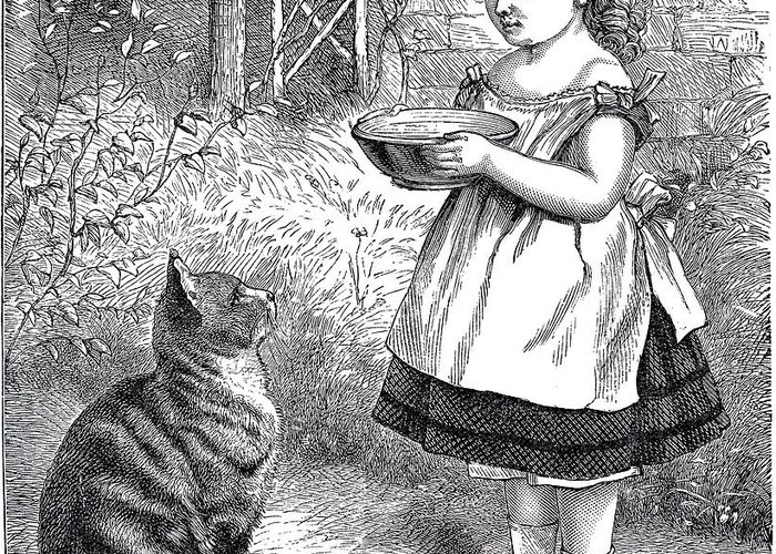 Little Girl Greeting Card featuring the drawing Little Girl Gives Her Cat Its Dinner by Vintage Collectables