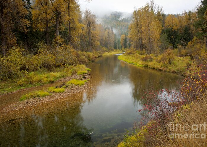 Idaho Greeting Card featuring the photograph Little North Fork by Idaho Scenic Images Linda Lantzy