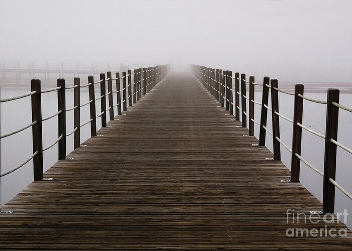 Pier Greeting Card featuring the photograph Little Pieces of the Nothing that Fall by Dana DiPasquale